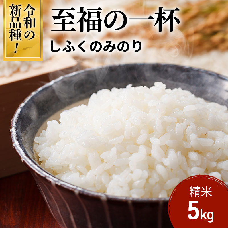 【ふるさと納税】至福の一杯 5kg 令和7年産 米 お米 ご飯 飯 精米 津市 三重県 新品種｜三重県津市