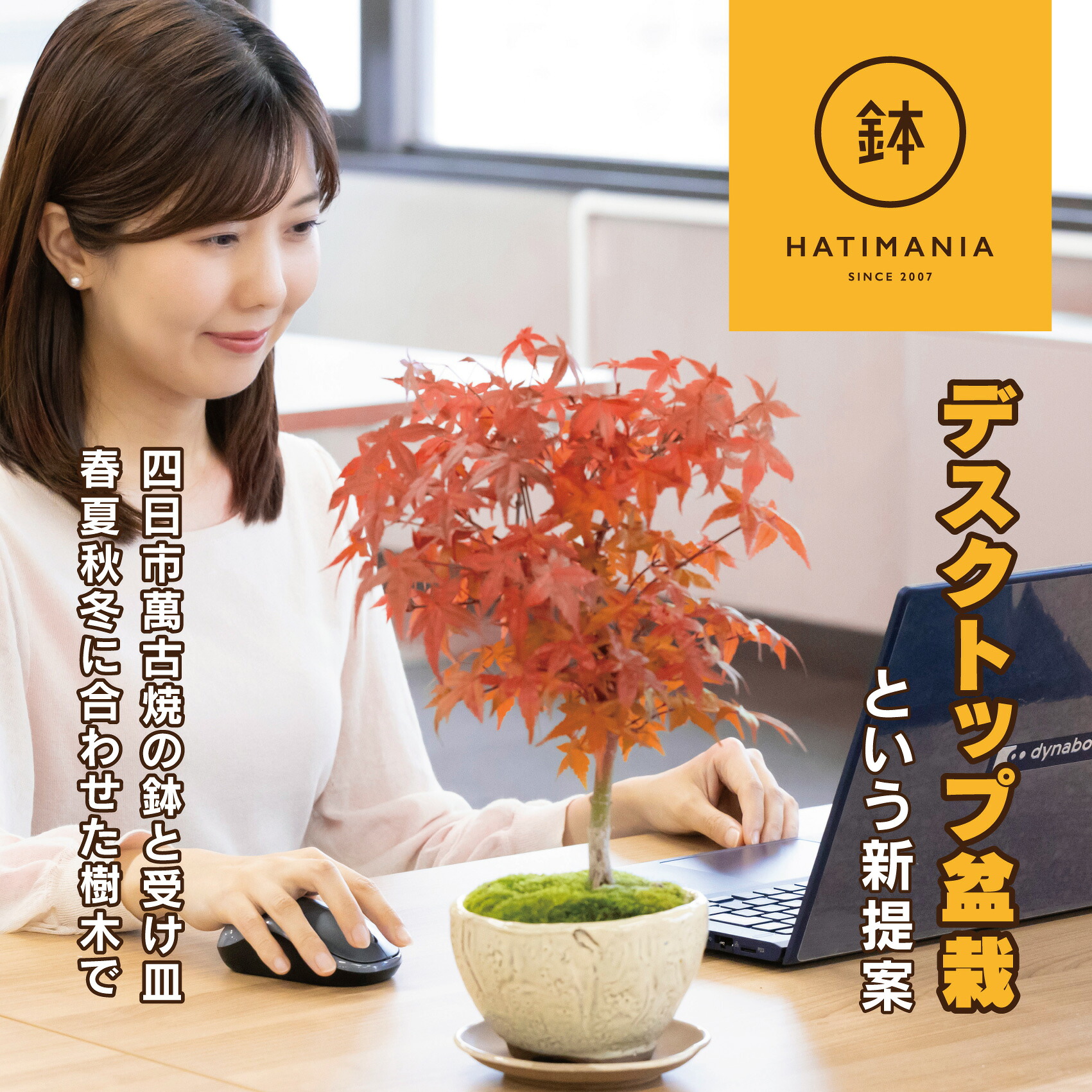 【ふるさと納税】「事務机とっ始め盆栽」という新買って出るを四日市から（細密画なし）