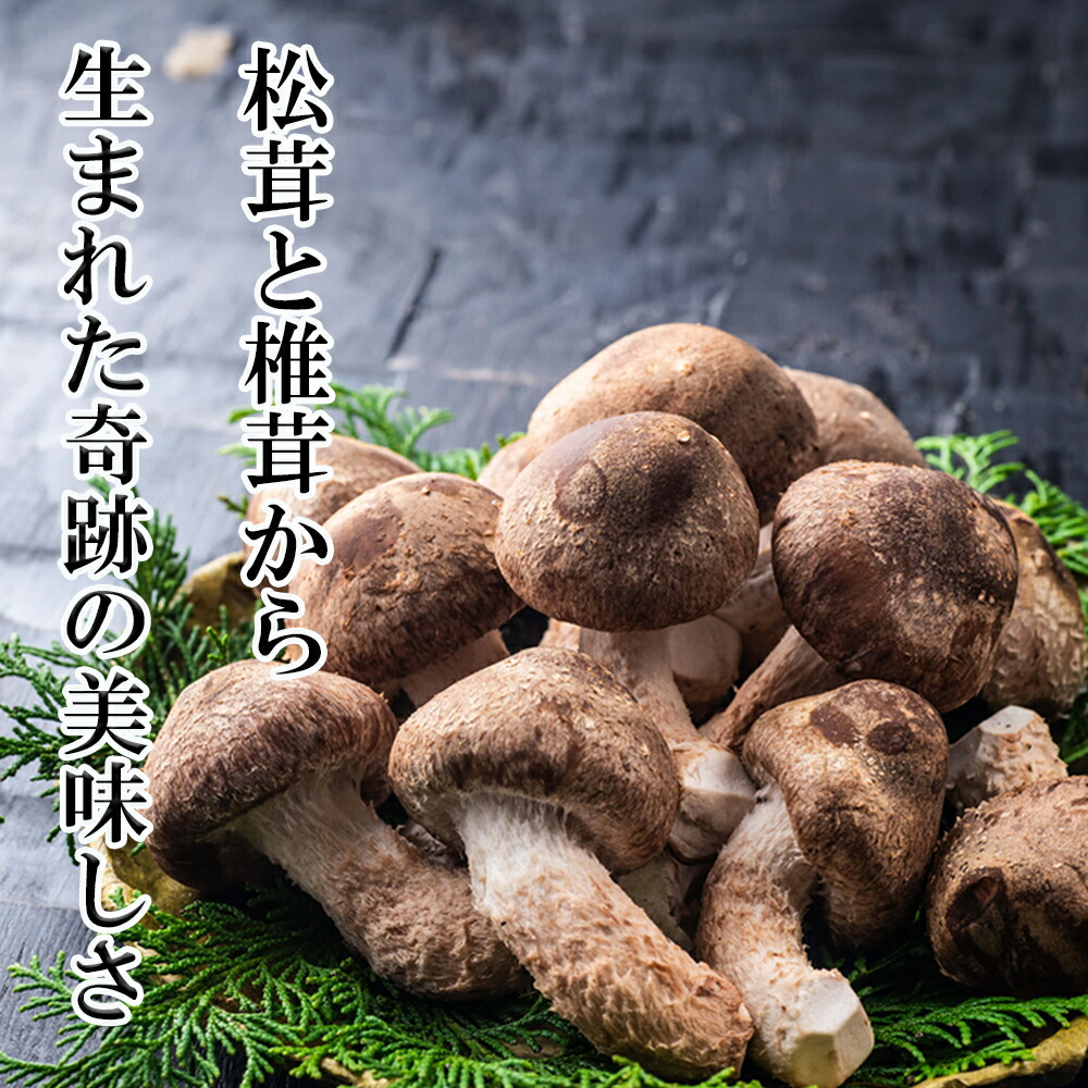 【ふるさと納税】松太郎ギフト（生詰め合わせ）【夏季冷蔵便対応】
