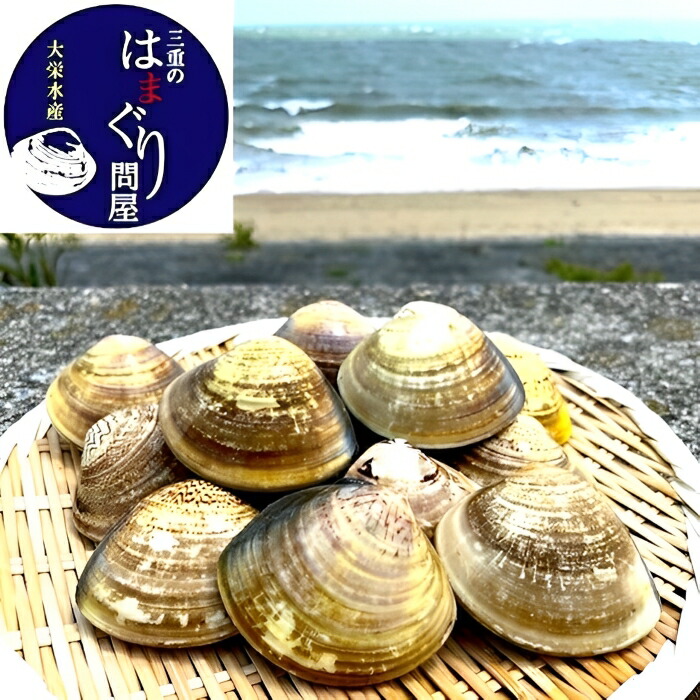 楽天市場】【ふるさと納税】 山本翠松 蛤香合十二ヵ月（ふた月分