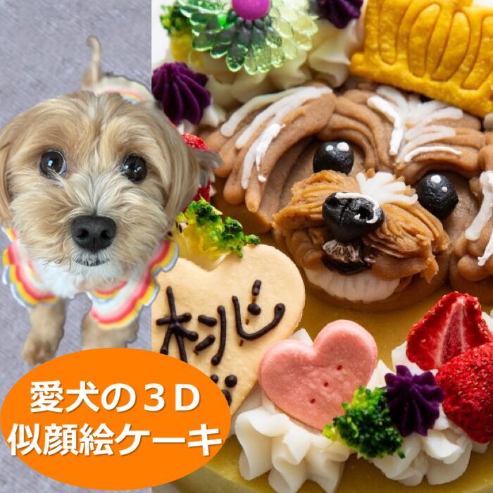 【ふるさと納税】犬用すがた絵西洋菓子・アレルギー反応相応う・獣御医者さん締めくくる