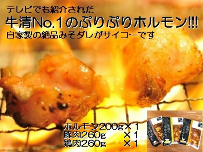 【ふるさと納税】1505　自家製 みそダレ Bセット　　牛ホルモン 200ｇ 豚肉 鶏肉 各１ / 黒毛和牛ホルモン 牛清 バーベキュー BBQ キャンプ 牛肉 ぶた肉 とり肉 特製 味噌漬 味付 伊勢志摩 三重 伊勢市