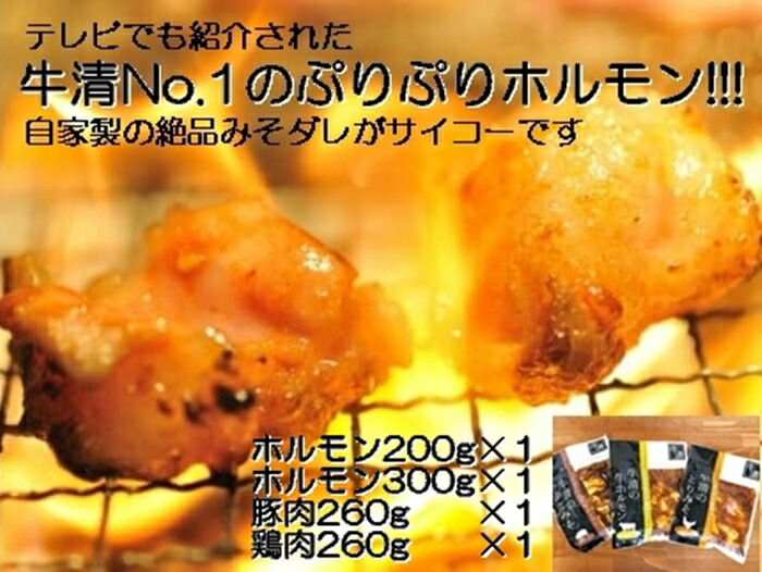 【ふるさと納税】1509　自家製 みそダレ Fセット　　牛ホルモン 200g 300ｇ×各１ 豚肉 ×１ 鶏肉 ×１/ 黒毛和牛ホルモン 牛清 バーベキュー キャンプ 牛肉 ぶた肉 とり肉 特製 味噌漬 味付 伊勢志摩