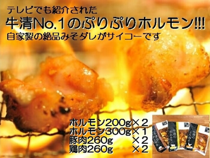 【ふるさと納税】1515　自家製 みそダレ Lセット　　牛ホルモン 200ｇ×２ 300ｇ×１ 豚肉 ×２ 鶏肉 ×２/ 黒毛和牛ホルモン 牛清 バーベキュー BBQ 牛肉 ぶた肉 とり肉 特製 味噌漬 味付 伊勢志摩