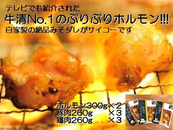 【ふるさと納税】1517　自家製 みそダレ Nセット　　牛 ホルモン 300ｇ×2 豚肉 ×３ 鶏肉 ×３/ 黒毛和牛ホルモン 牛清 バーベキュー BBQ キャンプ 牛肉 ぶた肉 とり肉 特製 味噌漬 味付 伊勢志摩