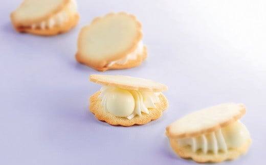 【ふるさと納税】華珠（HANADAMA）10個入専用箱・手提げ袋セット スイーツ お菓子 菓子 スウィーツ 洋菓子 焼菓子 焼き菓子 お土産 おみやげ 手土産【ボンタイム】