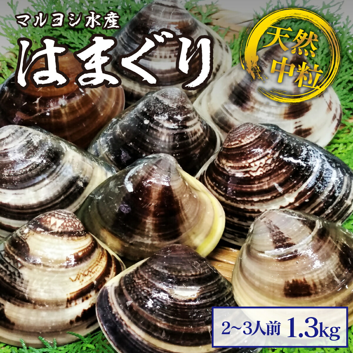 【ふるさと納税】 マルヨシ水産　桑名産中粒天然蛤　1.3kg_はまぐり　ハマグリ　魚介　貝
