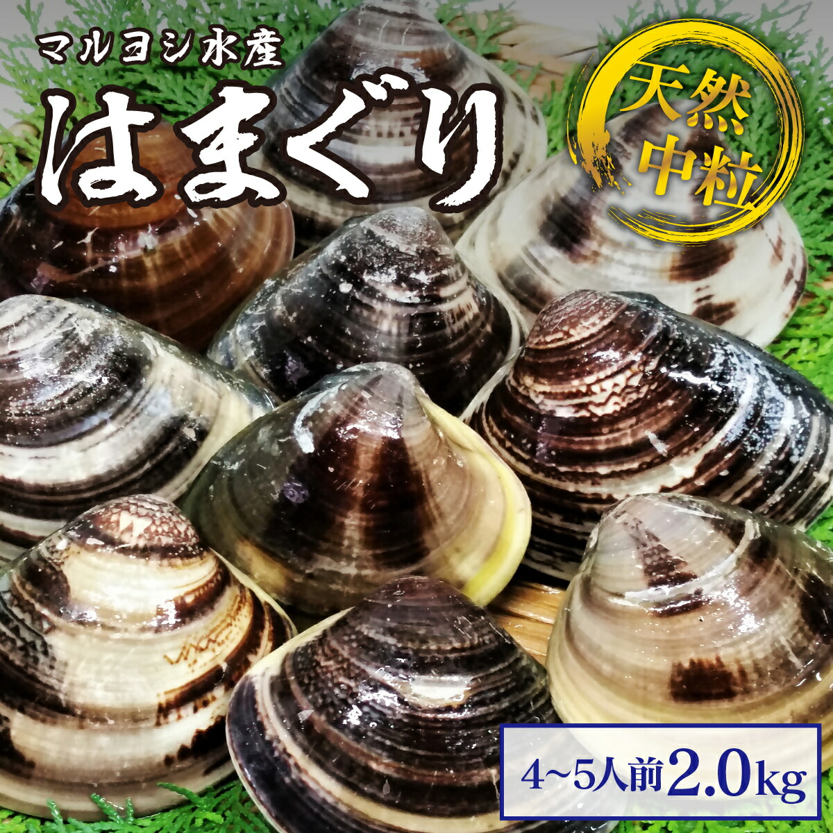 【ふるさと納税】 マルヨシ水産　桑名産中粒天然蛤　2kg_はまぐり　ハマグリ　魚介　貝