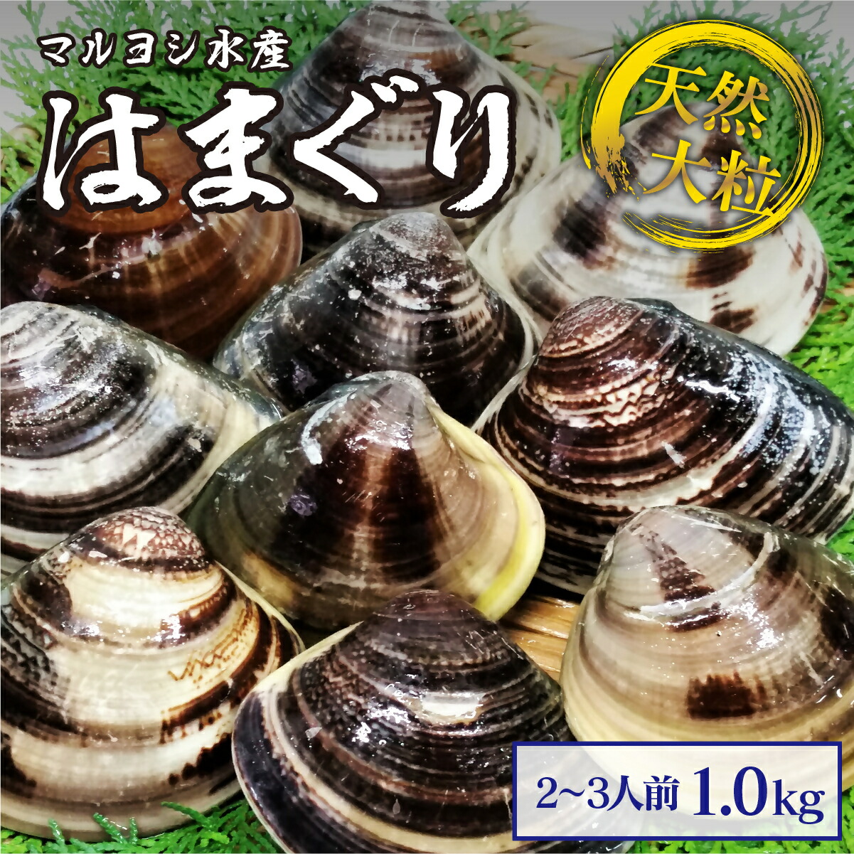 【ふるさと納税】 マルヨシ水産　桑名産大粒天然蛤　1kg_はまぐり　ハマグリ　魚介　貝