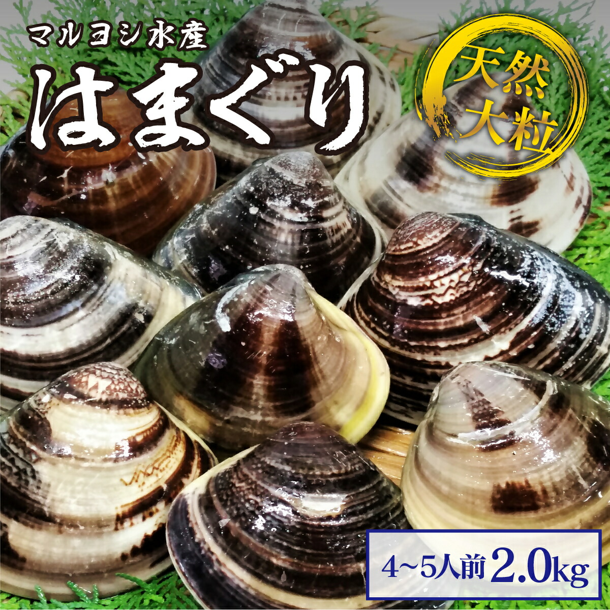 【ふるさと納税】 マルヨシ水産　桑名産大粒天然蛤　2kg_はまぐり　ハマグリ　魚介　貝