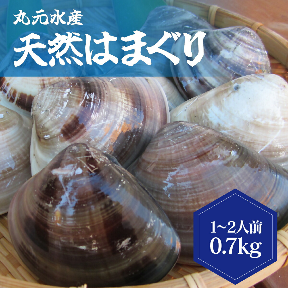 【ふるさと納税】 丸元水産　桑名産蛤(ハマグリ)0.7kg_はまぐり　魚介　貝