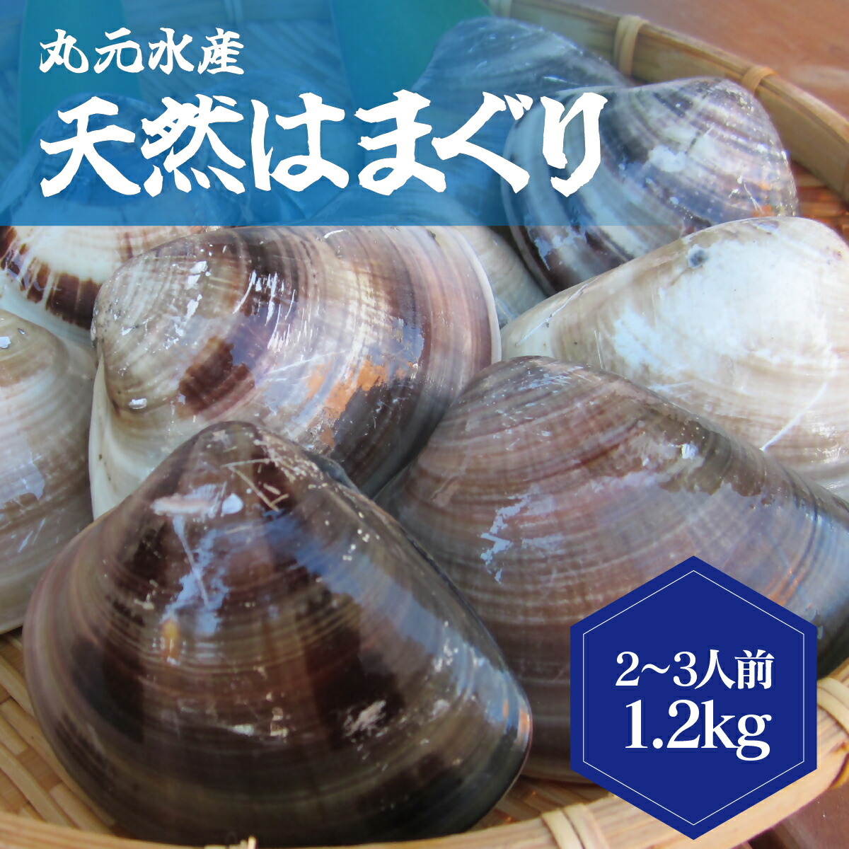 【ふるさと納税】 丸元水産　桑名産蛤(ハマグリ)1.2kg_はまぐり　魚介　貝
