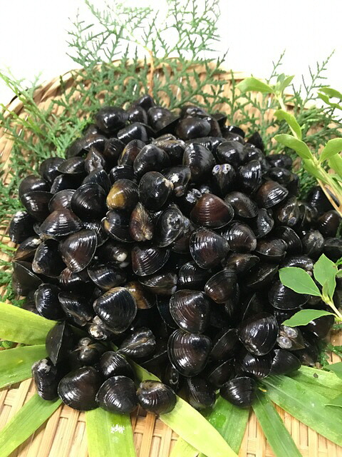 【ふるさと納税】【指定日必須】 マルヨシ水産　桑名産冷凍蜆　2kg