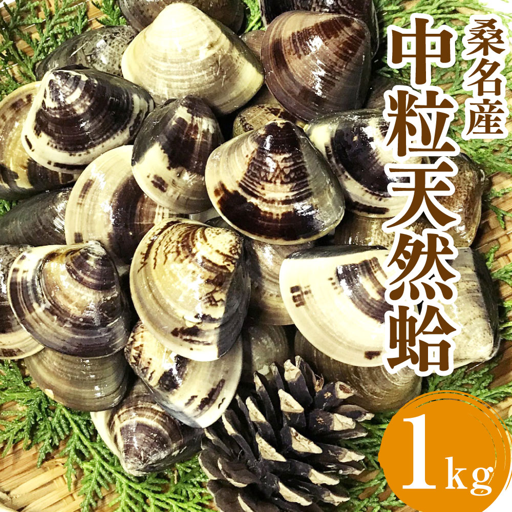 楽天市場】【ふるさと納税】 丸元水産 桑名産蛤(ハマグリ)1.8kg_