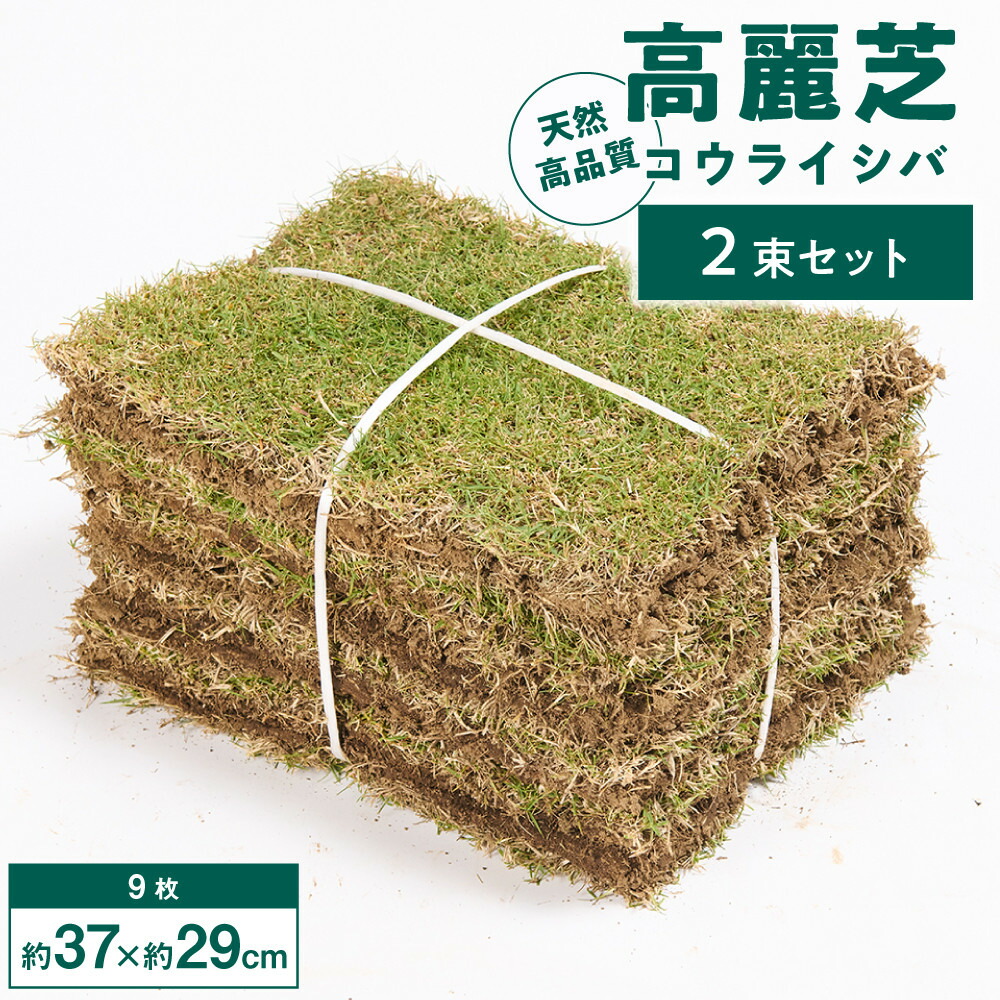 【ふるさと納税】生まれながら 高品質 高麗芝(コウライシバ) 2束書き割り(約2平方メートル分)