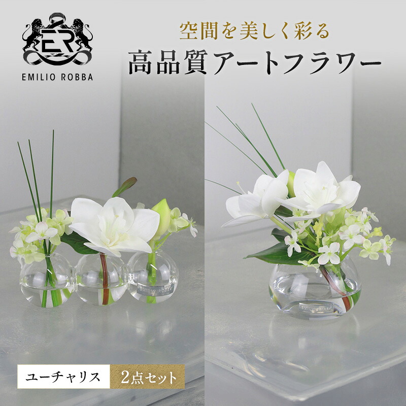 【ふるさと納税】エミリオロバ ユーチャリス2点セット ユーチャリス3W24、S242点セット|三重県名張市
