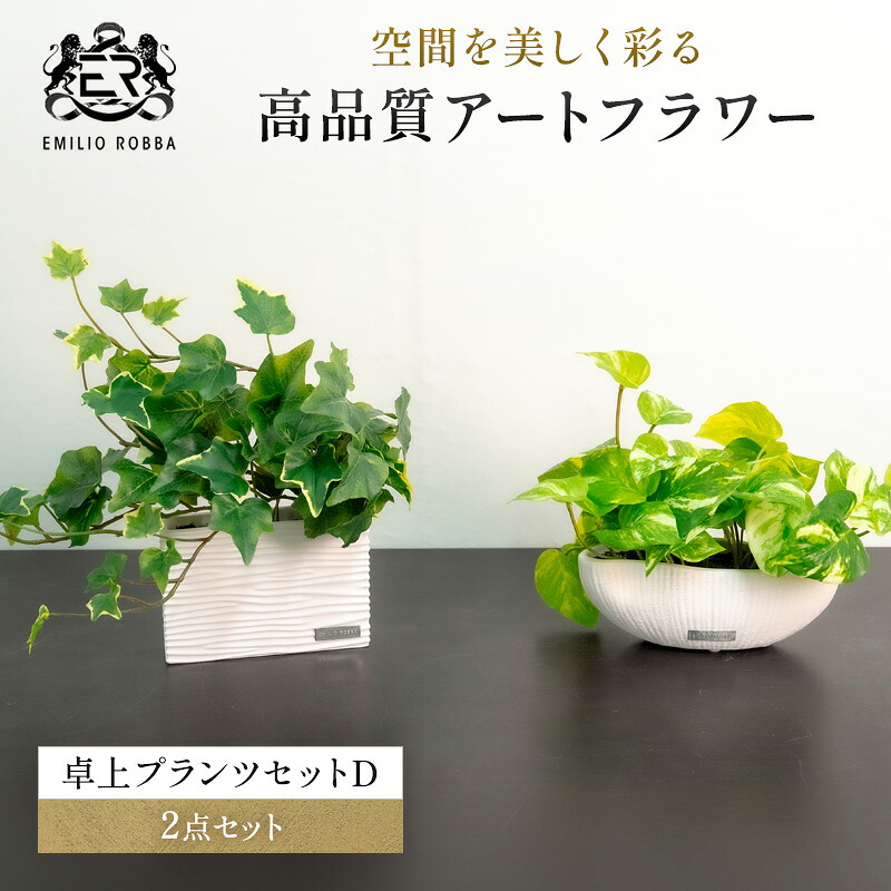 【ふるさと納税】エミリオロバ　卓上プランツセットＤ｜三重県名張市