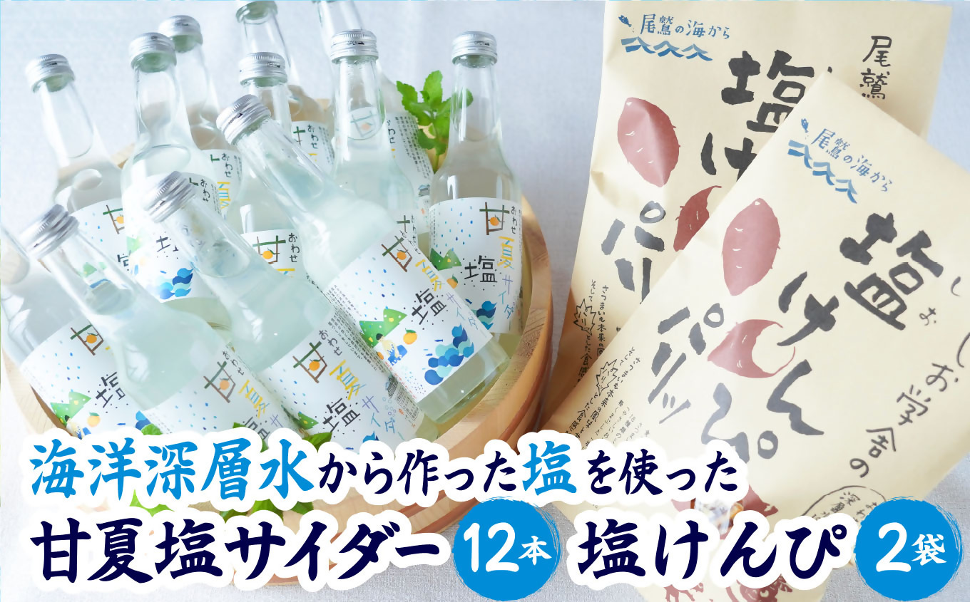 【ふるさと納税】海洋深層水 の 甘夏 塩 サイダー ［香料・酸味料・保存料不使用］ と 塩けんぴ ２袋 12本 炭酸 ジュ ース 飲料 菓子 つまみ ギフト 贈り物 詰め合わせ 三重県 尾鷲 しお学舎 MO-22