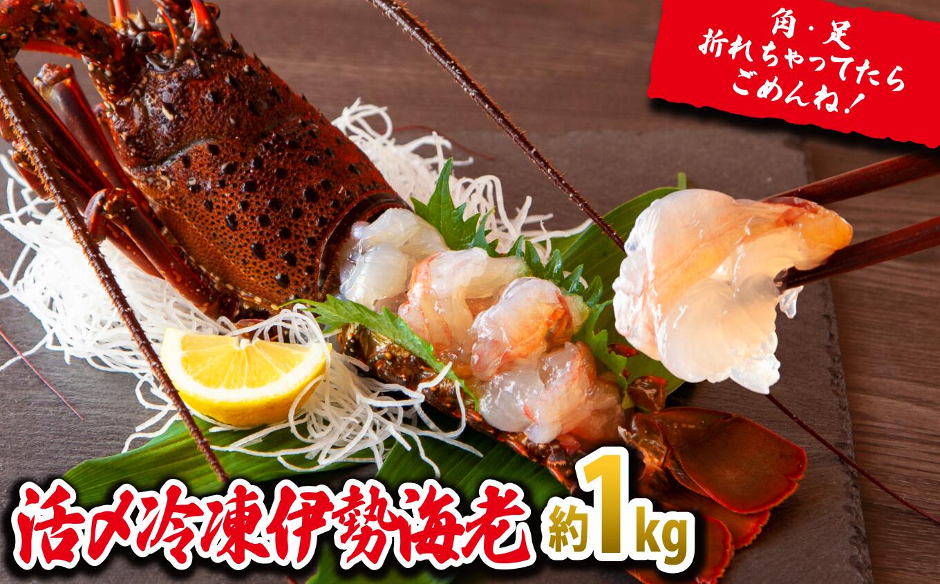 【ふるさと納税】刺身 でもうまい！活〆 冷凍 伊勢海老 大満足 の約1kg（2～5尾）えび エビ いせえび イセエビ 高級 鮮魚 海鮮 産地直送 魚介 刺身 焼き物 汁物 ギフト 贈答 贈り物 祝い 歳暮 天然 海の幸 正月 お正月 冷凍 急速 みそ汁 MG-6｜三重県尾鷲市