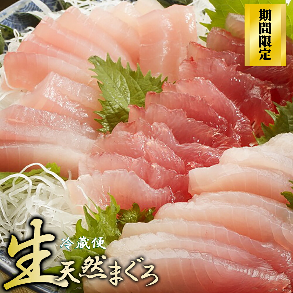 【ふるさと納税】〈生でお届け〉国産天然マグロ短冊 ７００ｇ 【4月25日（土）までの受付】 産地直送 天然ビンチョウマグロ短冊 天然 国産 鮪 まぐろ マグロ ユッケ 海鮮 刺身 ネギトロ 短冊 期間限定 小分け 新鮮 品質 厳選 とろける トロ ビンチョウ 三重県 尾鷲市 KI-69
