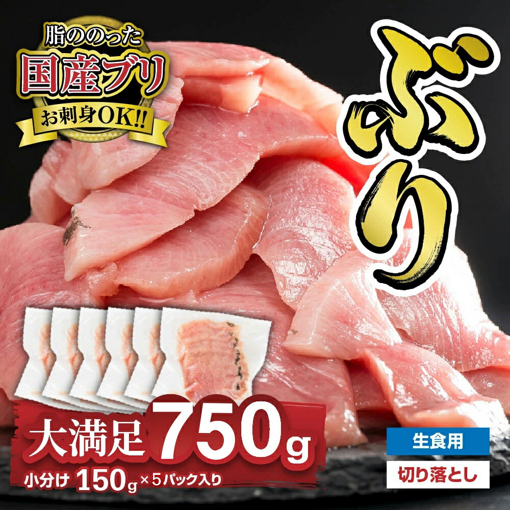 【ふるさと納税】１ヶ月以内にお届け 生食用 ブリ 切り落し 大満足750gセット（150g × 5パック） 小分け ブランド ぶり 鰤 ブリ ぶりしゃぶ しゃぶしゃぶ 魚 切り身 真空 人気 ランキング 高級 大満足 美味しい 贈答 生食用 刺身 お刺身 刺し身 魚介類 海鮮 冷凍 OB-32