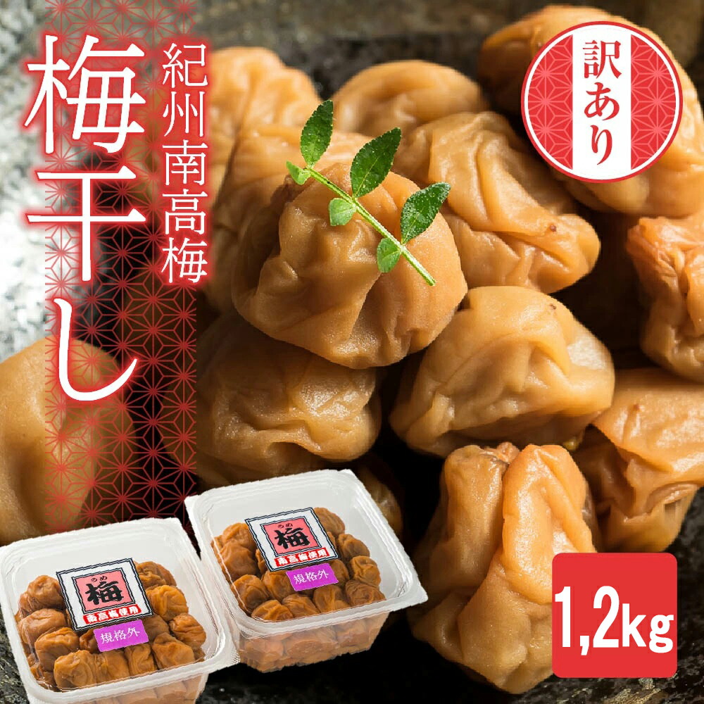 【ふるさと納税】【規格外】キズ・やぶれ有り！紀州南高梅 まろやか梅干し 大容量1.２kg（600g×２パック）訳あり ご家庭用 完熟 大粒 小粒 小分け II-72