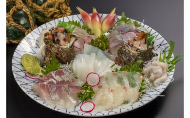 【ふるさと納税】  地魚のお刺身盛合わせ タイ たい 鯛 イサギ いさぎ カンパチ かんぱち 勘八 グレ ぐれ イカ いか 烏賊 サザエ さざえ 栄螺 海鮮 魚貝類 魚介類 刺身 刺し身 旬の刺身 小分け 手軽 簡単 三重県 尾鷲市 UO-39