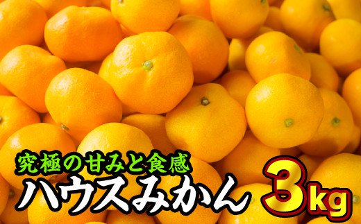 楽天市場 ふるさと納税 Ii 25 三重県産 ハウスみかん 温州みかん 3kg 三重県尾鷲市