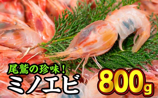 【ふるさと納税】珍味！オニエビ（ミノエビ） ８００gセット 天然 鮮度抜群 漁船直送 海の上で食べる味 直送 海老 えび エビ 殻付き 有頭 生食 刺身 冷蔵 魚介類 魚貝類 海産物 おかず 産地直送 三重県産 尾鷲市 国産 人気 HA-60