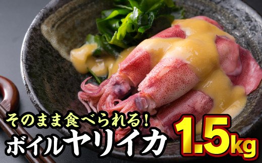 【ふるさと納税】ボイルヤリイカ 約1.5kg（300g × 5袋）セット（到着日時指定必須商品） いか イカ 烏賊 焼きそば 煮物 お好み焼き 焼き物 フライ おつまみ つまみ あて 小分け  使い切り 旨味 簡単 個別包装 少量 人気 大満足 リピート MT-9