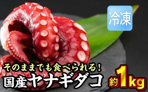 【ふるさと納税】【冷凍】国産ヤナギダコ 約１kg（250g × ４袋）セット 小分けぷりぷり ふっくら やわらか たこ タコ タコから揚げ タコの唐揚げ たこ焼き タコ焼き 酢だこ 正月 おせち つまみ ボイル 簡単 MT-10