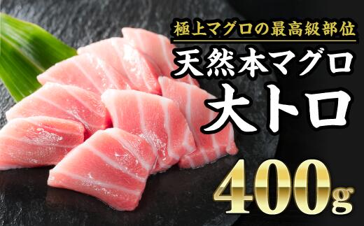 楽天市場 Ch 66 ふるさと納税 天然本マグロ 大トロ 大満足400g 先行予約商品 １０月以降出荷予定 三重県尾鷲市