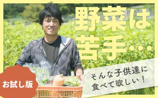So 1 ふるさと納税 農薬不塗布 なまやさしいこく 旬のお野菜詰め合わせボックスコート 80サイズ派出 お試用商品 Earthkitchen Ph