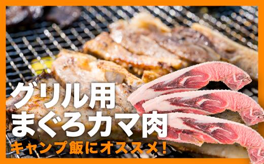 【ふるさと納税】グリル用まぐろカマ肉 ３切れセット ＜お試し商品＞ ふっくら ジューシー  抜群 脂乗り 定番 塩焼き 煮つけ おすすめ まぐろ 鮪 マグロ おつまみ BBQ バーベキュー グルメ お取り寄せ 冷凍 おかず 惣菜 冷凍食品 三重県 尾鷲市 CH-84