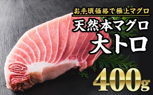 【ふるさと納税】天然本マグロ 大トロ 大満足400g 絶品 国産 生 本グロ マグロ まぐろ 鮪 赤身 刺身 海鮮丼 大トロ 大とろ堪能 まったり なめらか とろける 食べ比べ セット 刺身 海鮮丼 冷凍 ギフト  厳選 贈答 ギフト とろける人気 おすすめ 食べ比べ 刺身 冷凍 CH-82