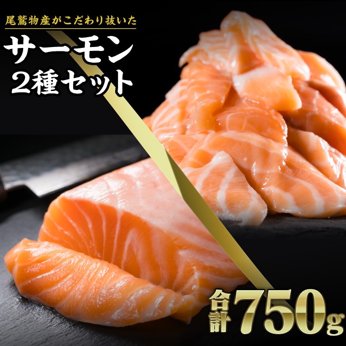 【ふるさと納税】サーモン ブロック&切り落とし750gセット 小分け 鮭 サーモン アトランティックサーモン さけ シャケ しゃけ sake カルパッチョ ソテー レアステーキ 人気 高級 大満足 生食用 刺身 お刺身 刺し身 魚介類 海鮮 冷凍 OB-22