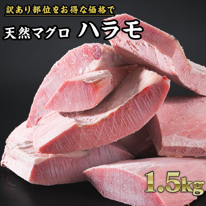 【ふるさと納税】【訳あり】尾鷲もちもちキハダマグロ ハラモ詰め合わせ 大満足 1.5kg ブロック 冷凍 天然マグロ きはだまぐろ キハダマグロ 水揚げ まぐろ刺身 まぐろ丼 漬けマグロ 天然 人気 おすすめ ハマモ 尾鷲もちもちキハダマグロ 超低温 大容量 三重県 尾鷲市 CH-96