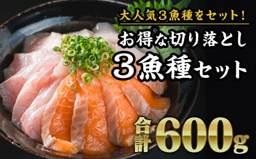【ふるさと納税】【大人気３魚種のお得なセット※】サーモン・ブリ・タイ ３種 生食用 切り落とし 大満足 600gセット 小分け さけ シャケ しゃけ ぶり 鰤 たい 鯛 人気 生食用 刺身 お刺身 刺し身 魚介類 海鮮 冷凍 厚切り 薄切り 　OB-30