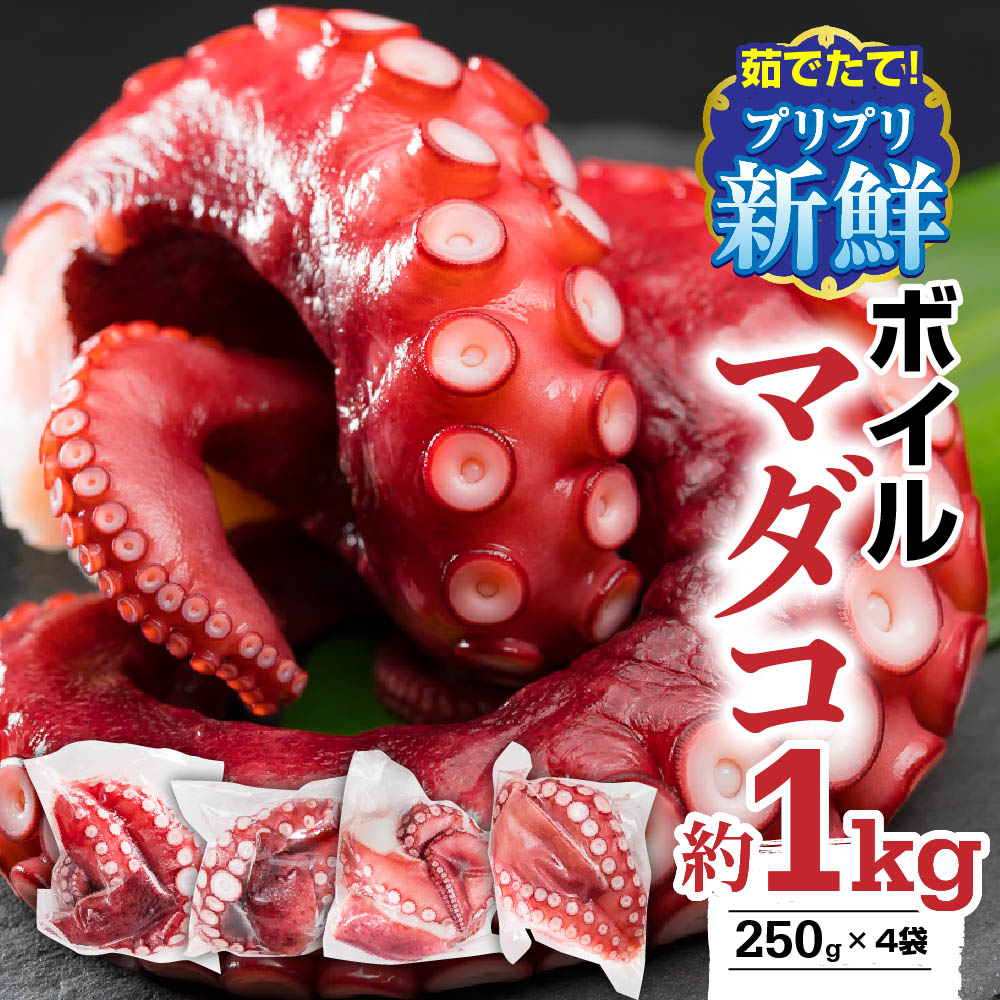 【ふるさと納税】【冷蔵】ボイルマダコ 約1kg（250g × 4袋）セット（到着日時指定必須商品） 小分け 旨味凝縮  ふっくら やわらか たこ タコ 蛸 旨味凝縮 たこ タコから揚げ タコの唐揚げ たこ焼き タコ焼き 酢だこ 肴 簡単 人気 大満足 MT-8