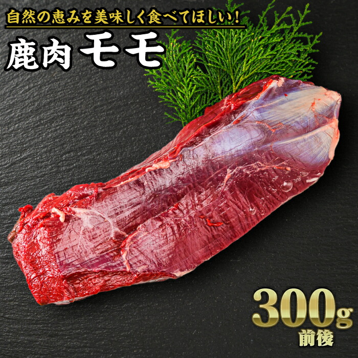 【ふるさと納税】鹿肉 モモ 300g｜サステナブル SDGs 新鮮 低カロリー ヘルシー 熟成 ステーキ 焼肉 シカ 小分け ジビエ食材 YZ-5