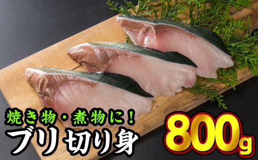 【ふるさと納税】加熱用ブリ切り身　大満足800gセット（100g × 8切れ）小分け ブランド ぶり 鰤 ブリ ぶり 真空 人気 ランキング 高級 大満足 美味しい 贈答 魚介類 海鮮 冷凍 厚切り 薄切り ふるさと納税　OB-11