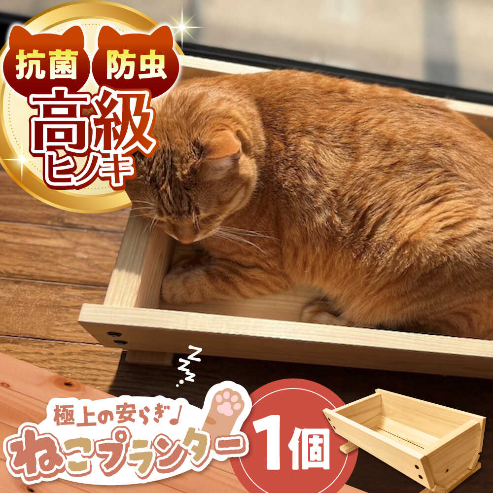 LIVRE ノブカラーカスタム