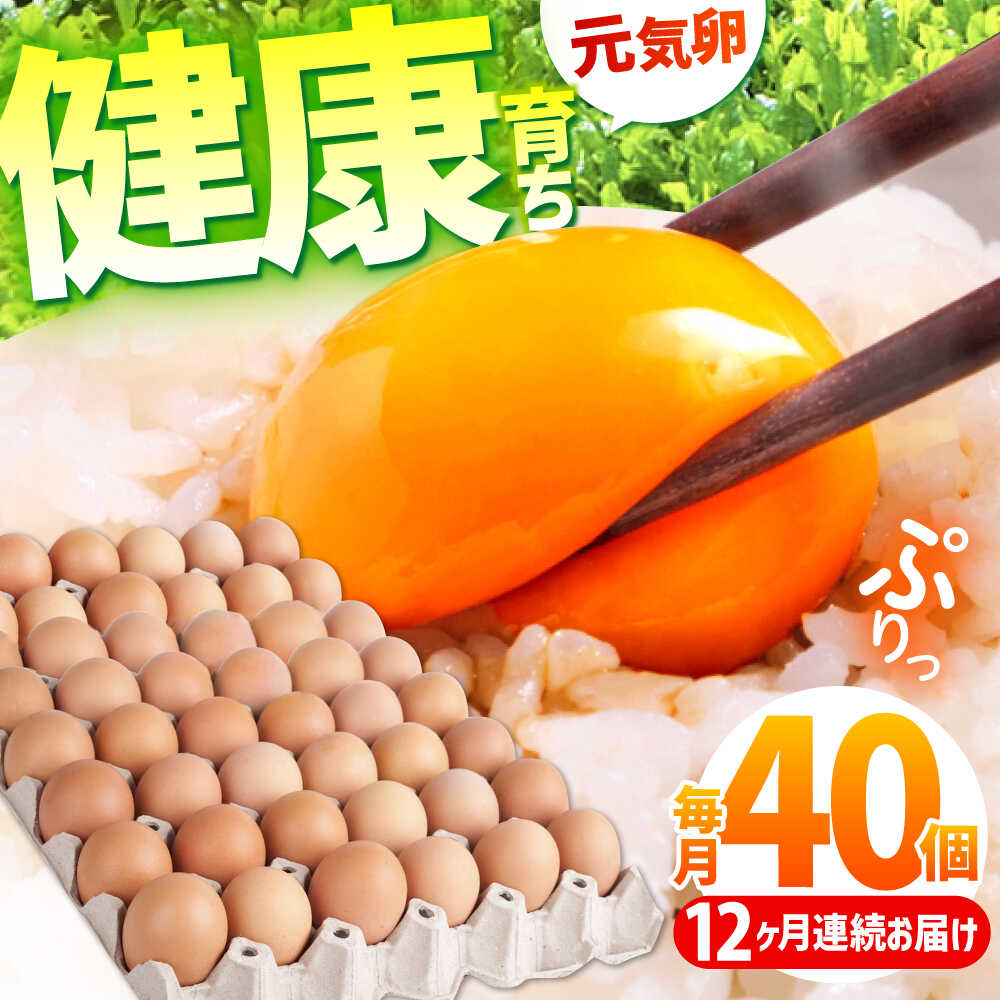 500g×7個/宝玉 ambh008.jpg