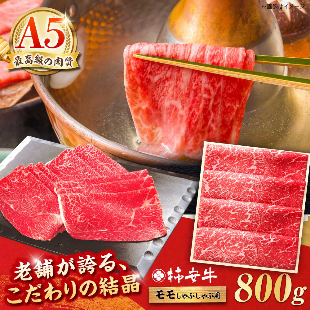 【ふるさと納税】【お中元対象】最高級A5等級 三重県産 黒毛和牛 柿安牛 モモ 800g / A5 スライス 国産牛 ブランド牛 牛肉 すき焼き すきやき しゃぶしゃぶ 冷蔵 高級肉 肉 赤身 モモ肉 新生活 記念 お祝い ギフト 贈答 プレゼント / 三重県 亀山市 / 柿安本店 [AMBW003]｜三重県亀山市