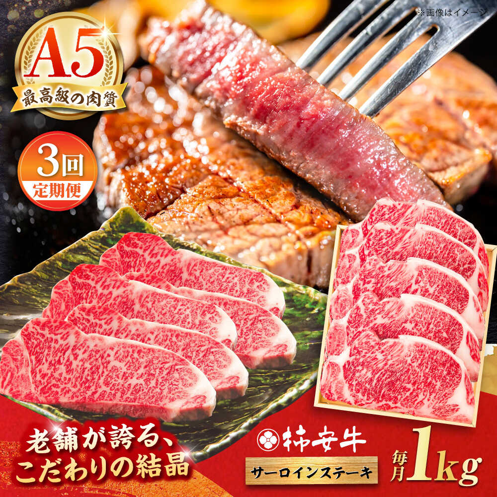 【ふるさと納税】【3回定期便】最高級A5等級 三重県産 黒毛和牛 柿安牛 サーロインステーキ 1000g / 国産牛 ブランド牛 牛肉 冷蔵 / 亀山市 / 柿安本店 [AMBW030]｜三重県亀山市
