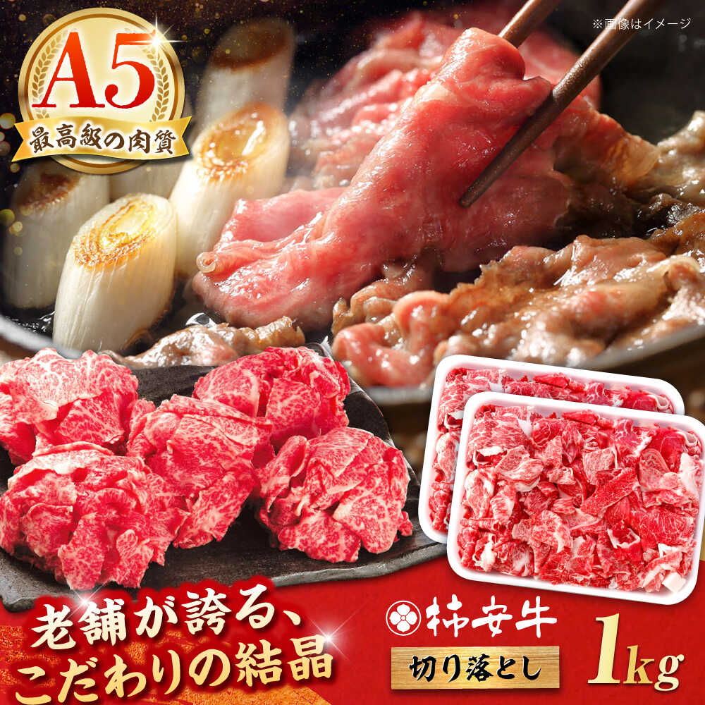 楽天市場】【ふるさと納税】 黒毛和牛 牛肉切り落とし 500g 最