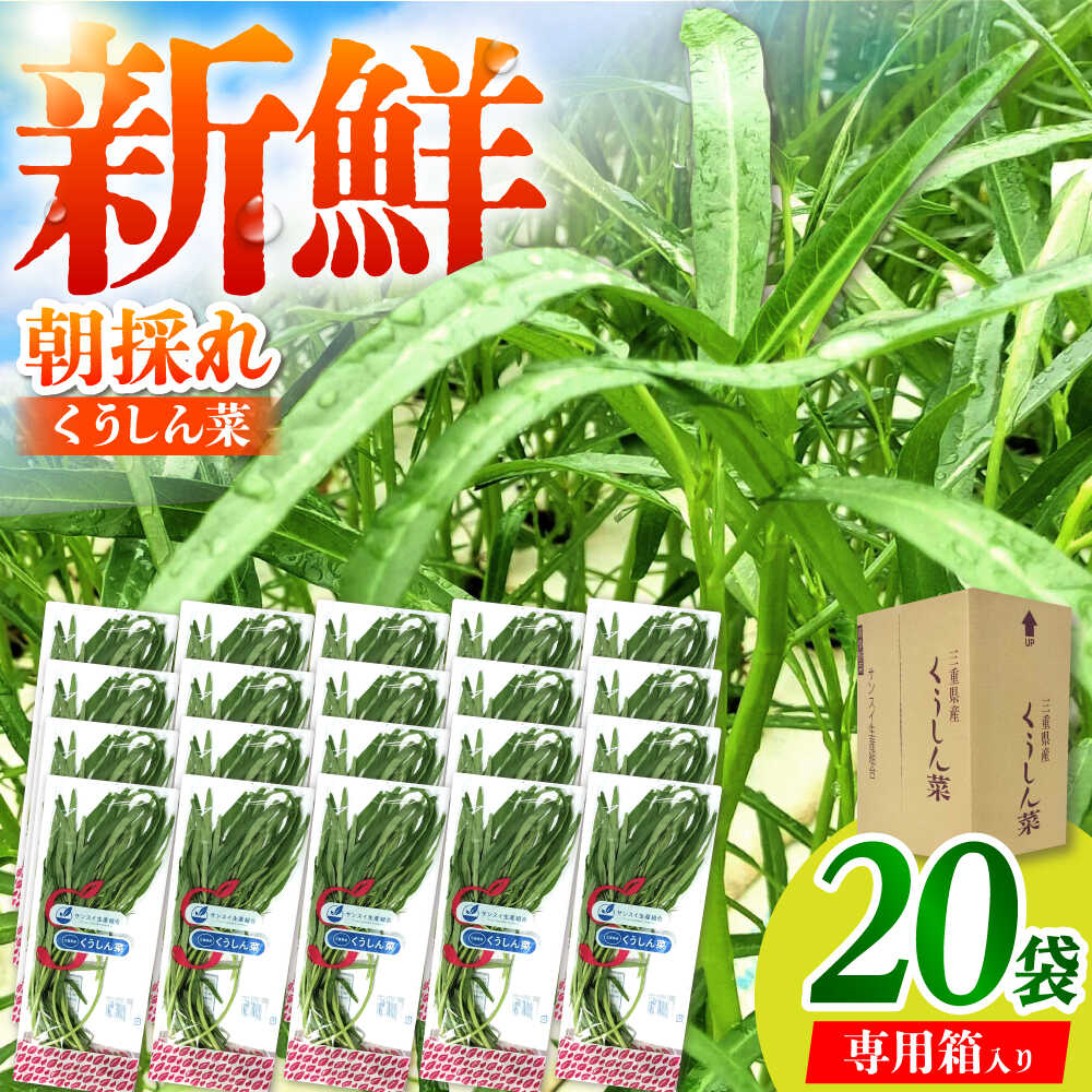 【ふるさと納税】新鮮朝採れ くうしん菜 大容量パック 20袋 / 亀山市 / グリーンハウス吉田[AMCD001]