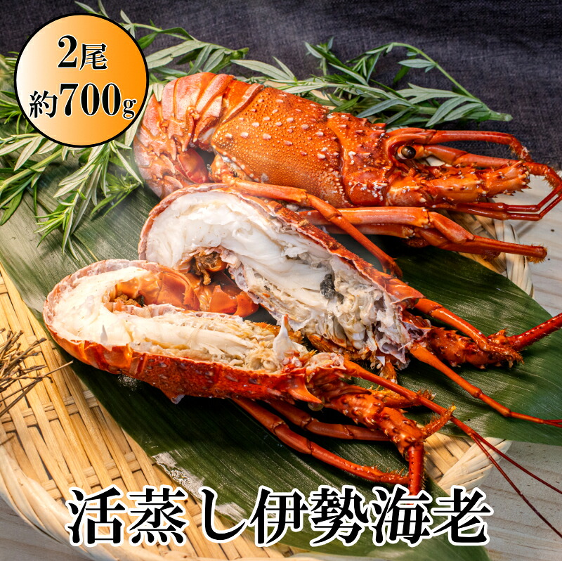 【ふるさと納税】L-13伊勢海老の活蒸し 2尾セット|三重県鳥羽市