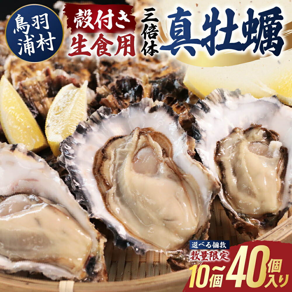 【ふるさと納税】10月15日に受付終了【期間限定 】濃厚な甘みとコク！生食用 三倍体牡蠣 選べる個数10個～40個 生牡蠣 冷蔵 浦村牡蠣 丸善水産 15-34｜三重県鳥羽市