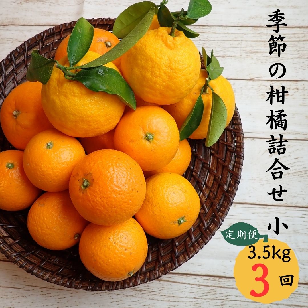 【ふるさと納税】みかん 定期便 自然塾7 季節の柑橘詰合せ 小【定期便３回】 旬 フルーツ 柑橘 定期
